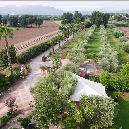 Villa Rosa Lifestyle B&B Sessa Aurunca Exteriér fotografie