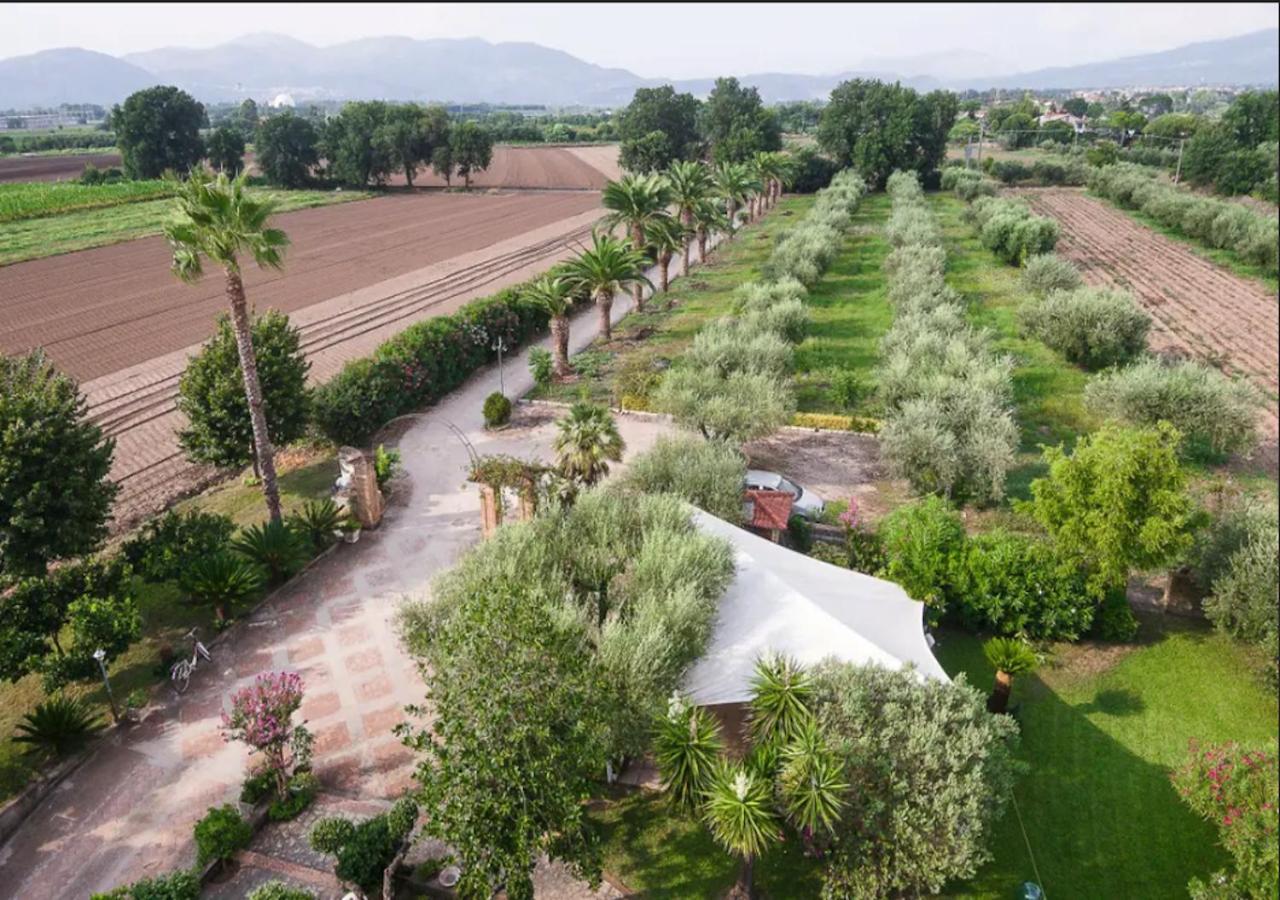 Villa Rosa Lifestyle B&B Sessa Aurunca Exteriér fotografie
